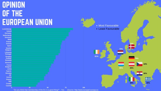 Opinion of the European Union